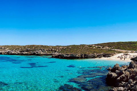 Rottnest Island Roundtrip Fast Ferry From Hillarys Boat Harbour - Perths Hotel 4
