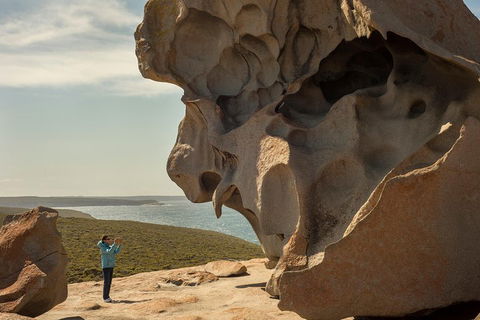 Kangaroo Island In A Day Tour From Adelaide - Perths Hotel 5