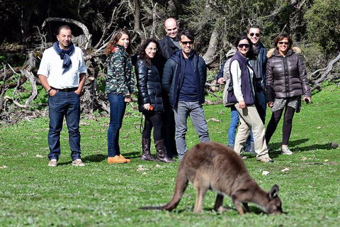 2-Day Kangaroo Island 4WD Small-Group Tour From Adelaide - Perths Hotel 1