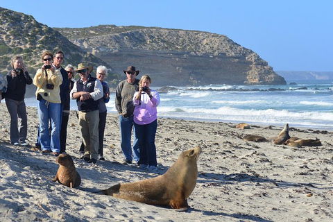 2-Day Kangaroo Island 4WD Small-Group Tour From Adelaide - Perths Hotel 3