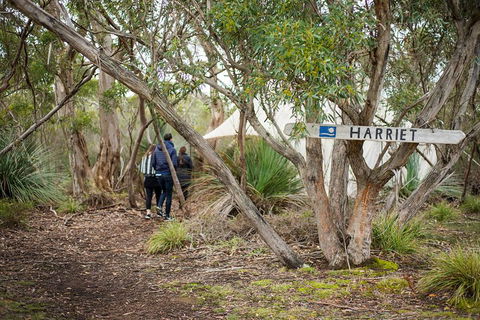2-Day Kangaroo Island 4WD Small-Group Tour From Adelaide - Perths Hotel 5