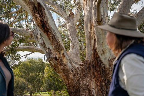 NEW TOUR - Kangaroo Island Road To Recovery Tour (1 Day/1 Night) - Perths Hotel 0
