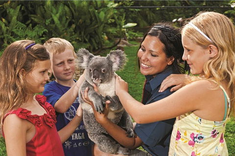 Kuranda Koala Gardens General Entry Ticket - Perths Hotel 0