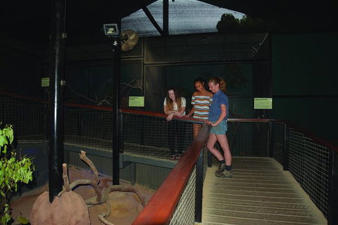 Kuranda Koala Gardens General Entry Ticket - Perths Hotel 2