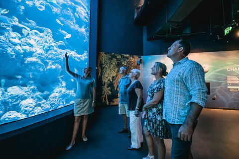 Cairns Aquarium By Twilight With 3-Course Dinner - Perths Hotel 1