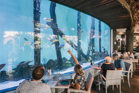 Cairns Aquarium By Twilight With 3-Course Dinner - Perths Hotel 4