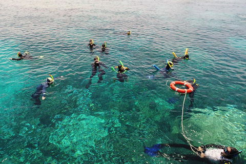 Seastar Luxury Outer Great Barrier Reef Island And Reef Tour From Cairns - Perths Hotel 2