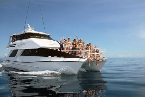 Seastar Luxury Outer Great Barrier Reef Island And Reef Tour From Cairns - Perths Hotel 4