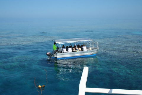 Seastar Luxury Outer Great Barrier Reef Island And Reef Tour From Cairns - Perths Hotel 5