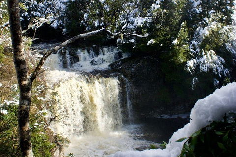 Cradle Mountain Day Tour From Launceston Including Lunch - Perths Hotel 0
