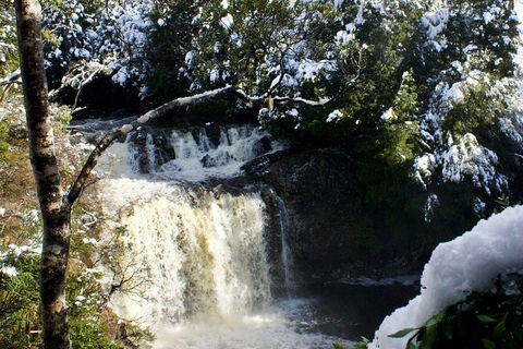 Cradle Mountain Park Explorer Guided Tour - Perths Hotel 4