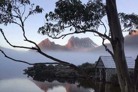 Cradle Mountain Park Explorer Guided Tour - Perths Hotel 5
