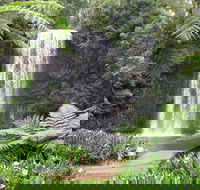 Private Daintree and Cape Tribulation Tour from Port Douglas - Perths Hotel