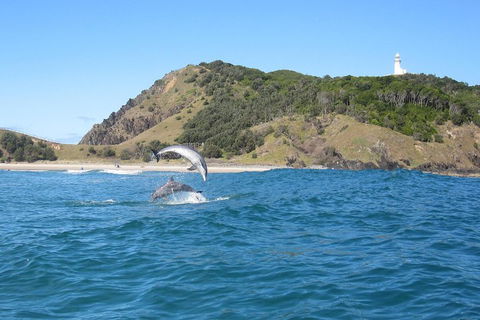 Kayaking With Dolphins In Byron Bay Guided Tour - Perths Hotel 0
