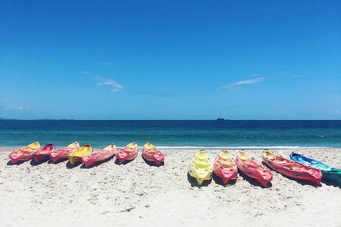 Kayaking With Dolphins In Byron Bay Guided Tour - Perths Hotel 1