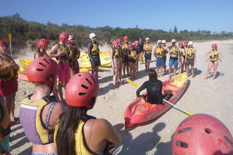 Kayaking With Dolphins In Byron Bay Guided Tour - Perths Hotel 2