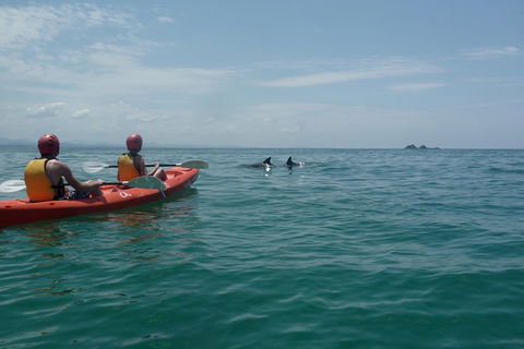 Kayaking With Dolphins In Byron Bay Guided Tour - Perths Hotel 4