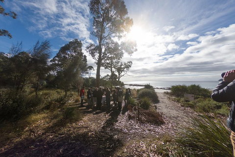 Bruny Island Day Tour, Includes Lunch And Exclusive Lighthouse Tour - Perths Hotel 5