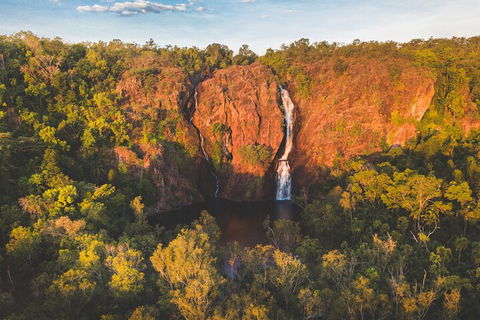 Litchfield National Park Waterfalls And Wildlife Tour From Darwin - Perths Hotel 2