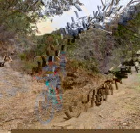 Mount Lofty Descent Bike Tour from Adelaide - Perths Hotel