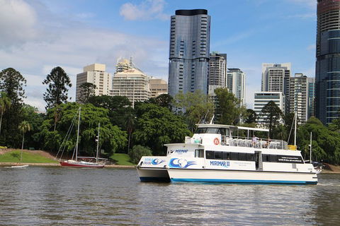 Lone Pine Koala Sanctuary Admission With Brisbane River Cruise - Perths Hotel 2
