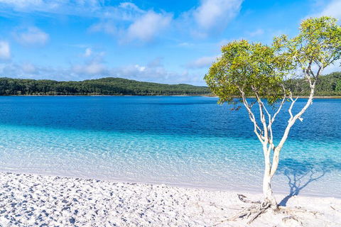Lake McKenzie Full-Day Tour With Lunch From Hervey Bay - Perths Hotel 1