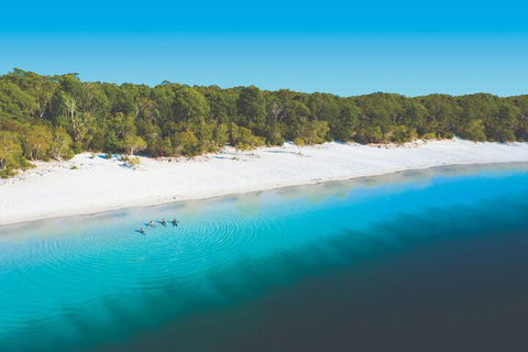 Lake McKenzie Full-Day Tour With Lunch From Hervey Bay - Perths Hotel 4