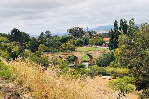 Day Tour In Mt. Field, Mt. Wellington, Bonorong Wildlife Sanctuary And Richmond - Perths Hotel 3