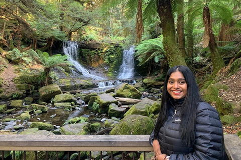 Day Tour In Mt. Field, Mt. Wellington, Bonorong Wildlife Sanctuary And Richmond - Perths Hotel 5