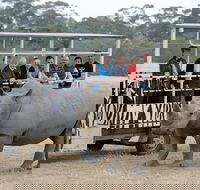 Off-Road Safari at Werribee Open Range Zoo - Perths Hotel