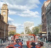 Hobart Hop-On Hop-Off Bus  kunanyi/Mt Wellington Tour - Perths Hotel