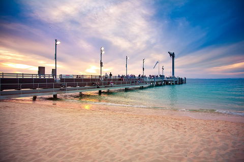 Tangalooma Island Resort Whale Watching Day Cruise With Dolphin Viewing - Perths Hotel 3