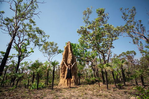 Litchfield National Park - Top End Day Tour From Darwin - Perths Hotel 5