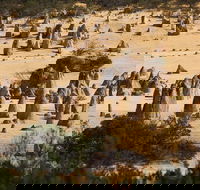 Pinnacles Sunset Dinner and Stargazing Experience a Small Group Tour - Perths Hotel