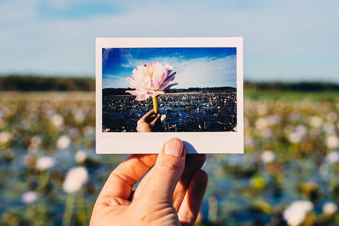 Kakadu Wilderness Escape - Top End Day Tour From Darwin - Perths Hotel 3