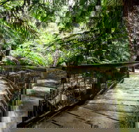 12 Apostles Eco-Friendly Great Ocean Road Iconic Adventure from Melbourne - Perths Hotel