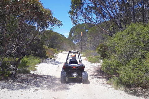 Kangaroo Island Quad Bike (ATV) Tours - Perths Hotel 4