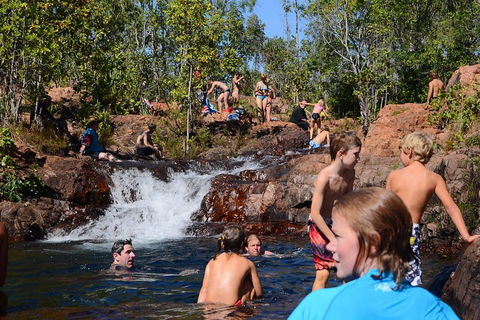 Litchfield And Jumping Crocodiles Full Day Trip From Darwin - Perths Hotel 5