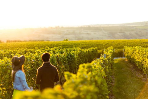 Margaret River Private Tour - Perths Hotel 2