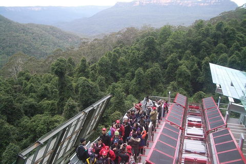 Blue Mountains Private Tour With Wildlife Park And River Cruise - Perths Hotel 1