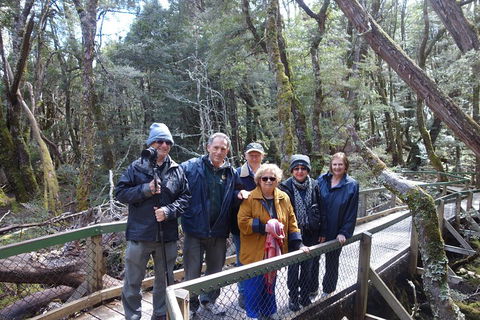 Blue Mountains Private Tour With Wildlife Park And River Cruise - Perths Hotel 2