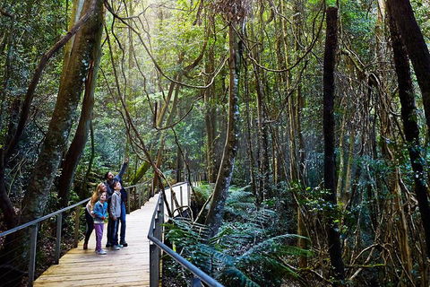 Blue Mountains Private Tour With Wildlife Park And River Cruise - Perths Hotel 4