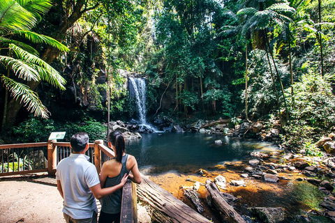 Aquaduck & Your Choice Of Gold Coast Rainforest Tour - Perths Hotel 0