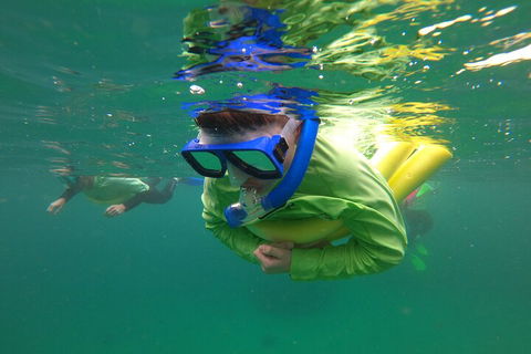 Manly Snorkel Trip And Nature Walk With Local Guide - Perths Hotel 5