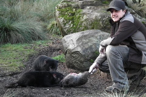 After Dark Tasmanian Devil Feeding Tour At Cradle Mountain - Perths Hotel 2