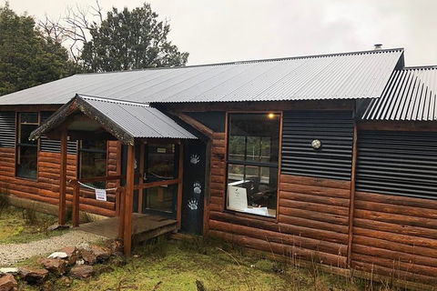 After Dark Tasmanian Devil Feeding Tour At Cradle Mountain - Perths Hotel 3
