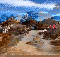 The Big Wave Rock Private Day Tour - Perths Hotel