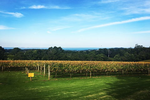 Yarra Valley Private Car Winery Tour And Chocolate.1-7 Passengers One Car Price - Perths Hotel 0