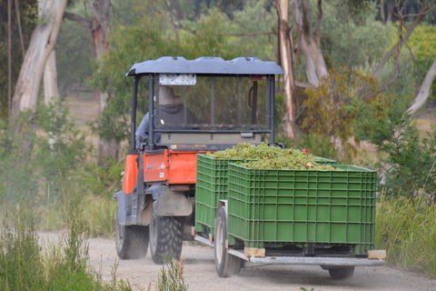 Yarra Valley Private Car Winery Tour And Chocolate.1-7 Passengers One Car Price - Perths Hotel 1