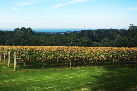 Yarra Valley Wine Tour Inc Lunch With A Glass Of Wine, Tastings And Chocolate - Perths Hotel 2